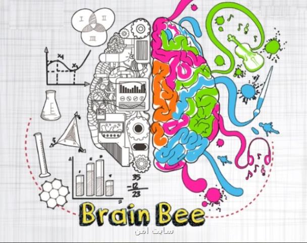 برگزاری هفتمین دوره مسابقات دانش آموزی دانش مغز