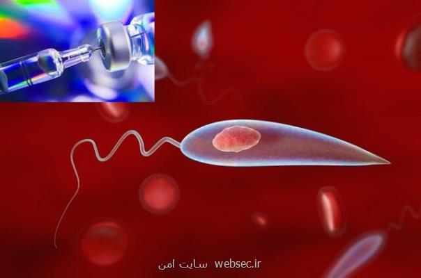 گام های محکم تر برای دستیابی به واکسن انگلی بیماری سالک