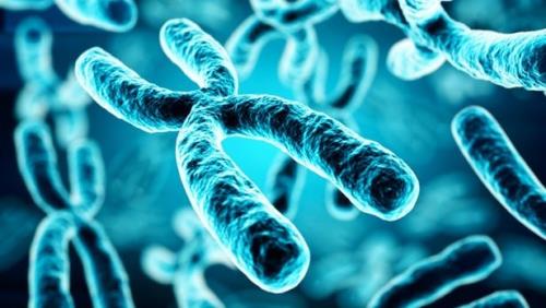 کیت تشخیص دقیق اختلال های مادرزادی در کشور ساخته شد