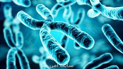 کیت تشخیص دقیق اختلال های مادرزادی در کشور ساخته شد