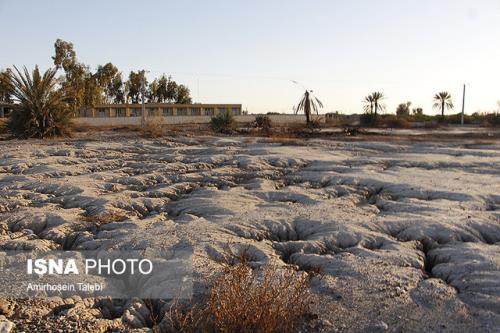 اهدای جایزه علمی بین المللی ژان تریکار به پژوهشگر پسادکتری دانشگاه فردوسی