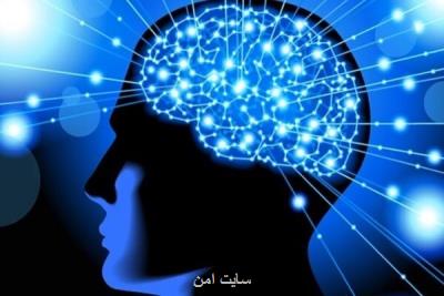 لزوم توسعه تجهیزات و ابزارهای نوین در حوزه علوم اعصاب