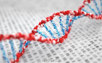 ساخت یک موتور مولکولی چرخشی با کمک DNA