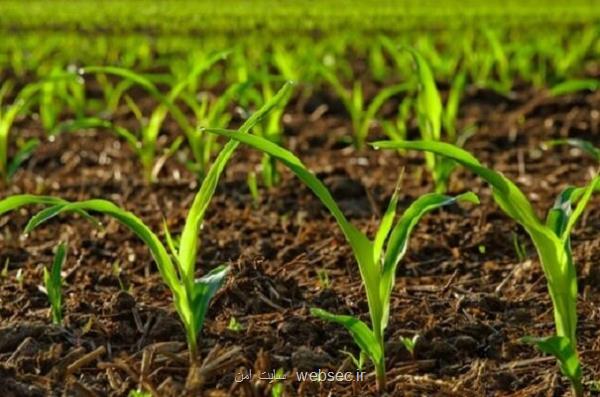 سامانه ای هوشمند به یاری مدیریت مصرف آب در کشاورزی آمد