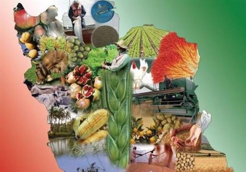 رویدادی در زمینه امنیت غذایی