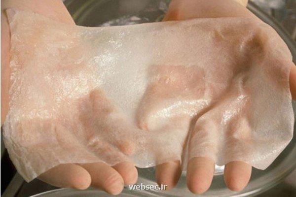 تولید پروتئین ابریشم به روش زیستی برای ترمیم پوست و استخوان