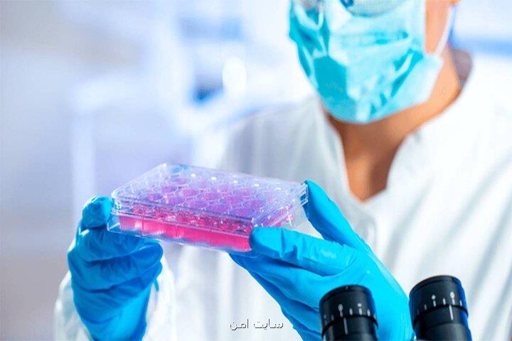 ابداع سلول مصنوعی که بطور خودکار حرکت می کند
