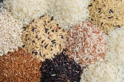 سرعت گرمایش زمین ۵هزار برابر بیش از توان سازگاری گیاه برنج است