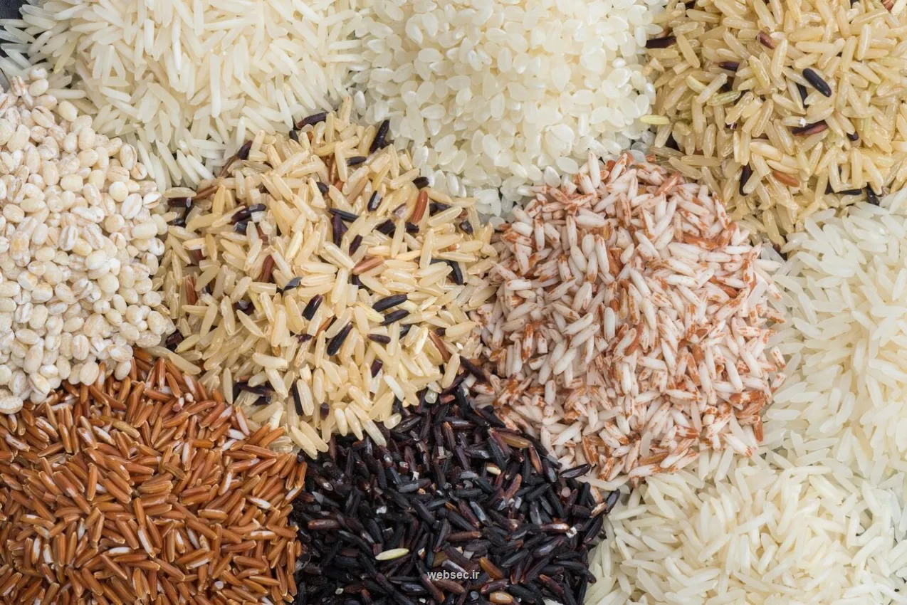 سرعت گرمایش زمین ۵هزار برابر بیش از توان سازگاری گیاه برنج است