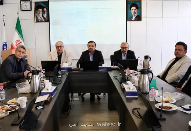 هم افزایی برای بازبینی سند گسترش فناوری های فرهنگی و نرم