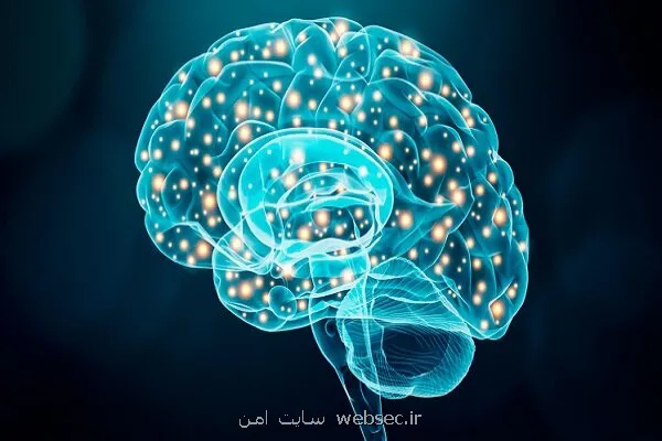 بازبینی سند علوم و فناوری های شناختی با تکیه بر اولویت بندی حوزه ها