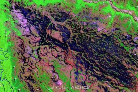 كاربرد تصاویر ماهواره ای در كشاورزی، تعیین گونه گیاهی زمین زراعی