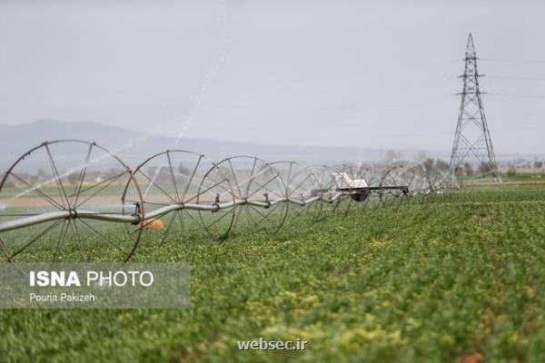 ساخت دستگاه بذركار خودكار توسط پژوهشگران دانشگاهی