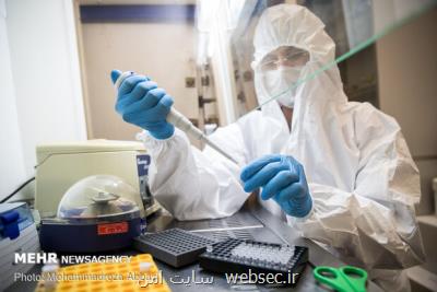 واكسن ایرانی كرونا در آستانه مرحله كارآزمایی بالینی