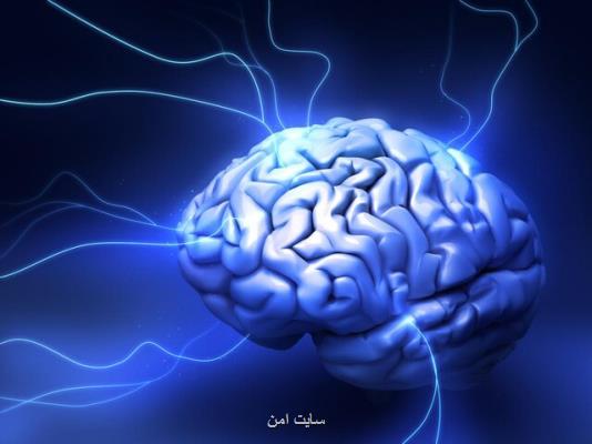 بررسی پردازش تصاویر عملكردی مغز در دانشگاه تهران