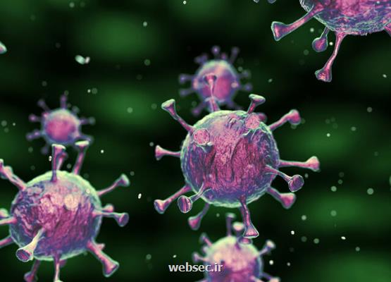 شناسایی ۴ جهش كرونا ویروس خاص ایران